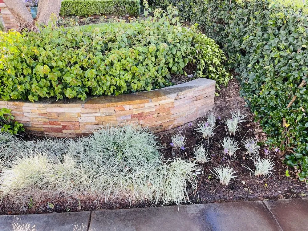 Custom lawn mowing service in Corona, CA - Valencias Landcape Tree