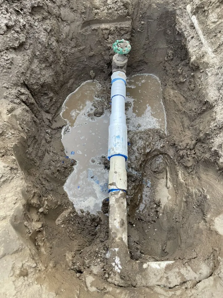 Local residential landscaping near you in Corona, CA by Valencias Landcape Tree