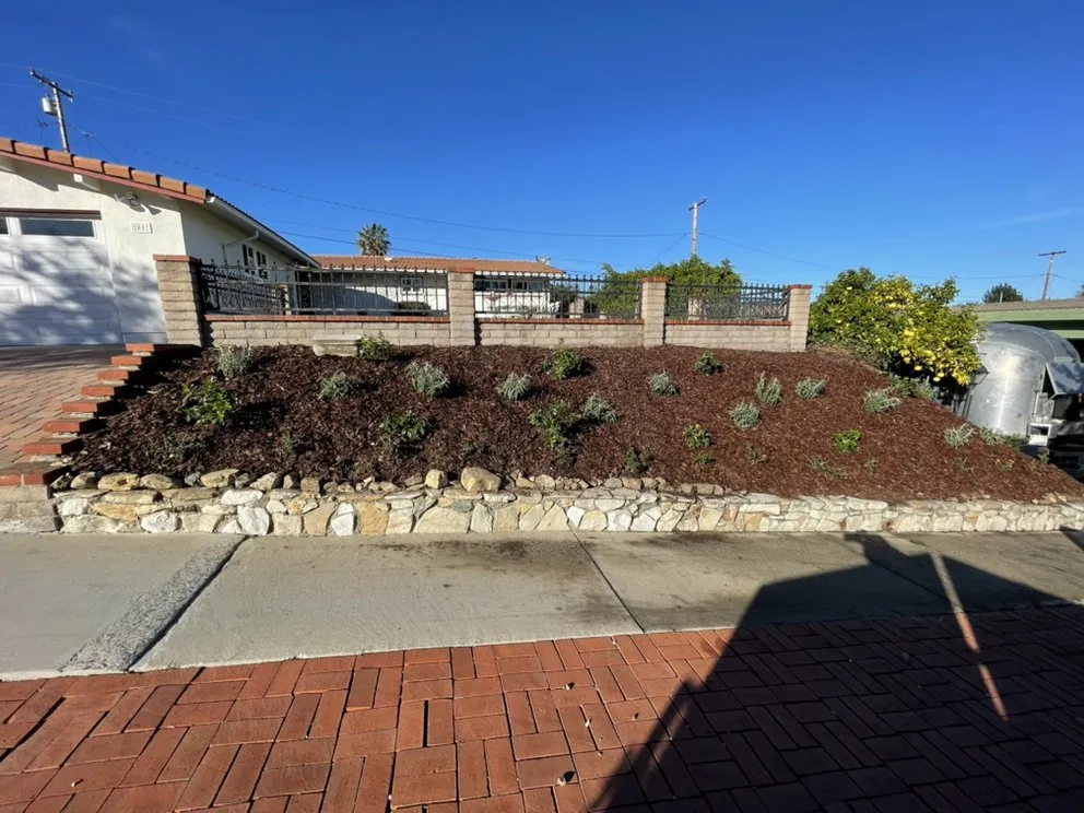 Expert landscape design for beautiful yards in Corona, CA by Valencias Landcape Tree