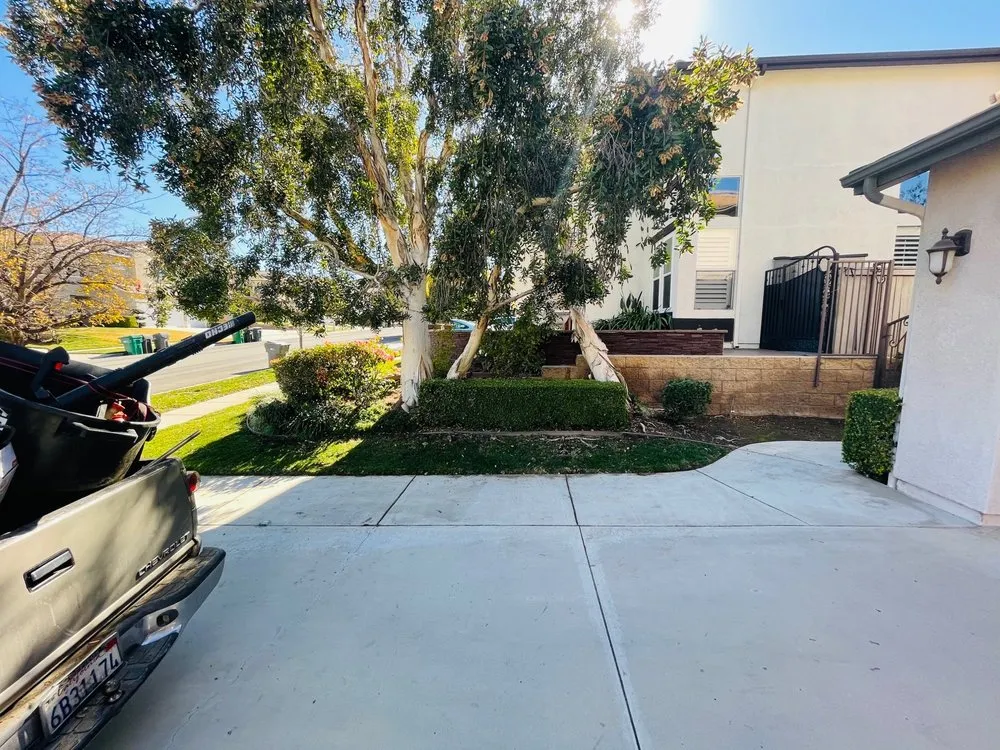 Professional outdoor landscaping for outdoor upgrades across Corona, CA - Valencias Landcape Tree