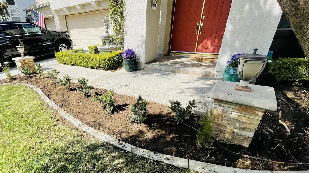 Local yard cleanup service in Corona, CA - Valencias Landcape Tree