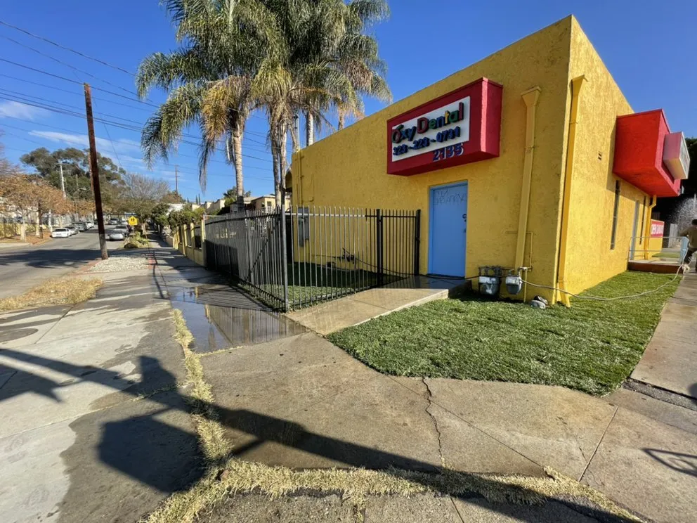 Professional landscape design in Corona, CA - Valencias Landcape Tree