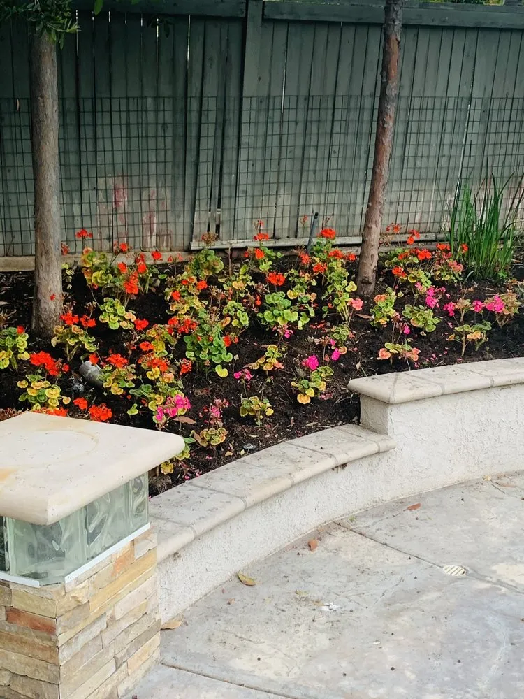 Trusted lawn mowing service in Corona, CA - Valencias Landcape Tree