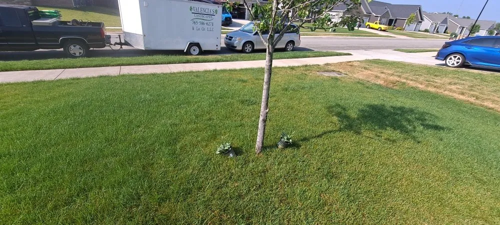 Reliable landscaping services in Shadeland, IN by Valencia's landscaping & Lawn care