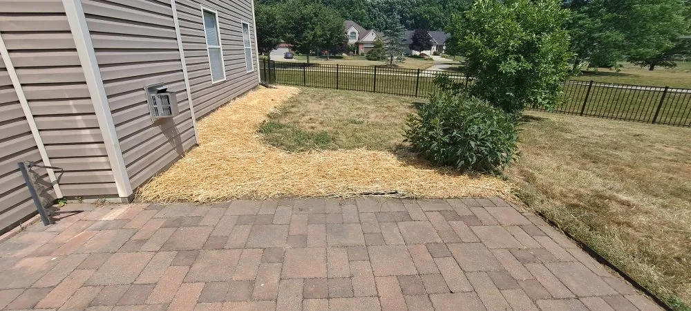 Top-rated garden landscaping in Shadeland, IN - Valencia's landscaping & Lawn care