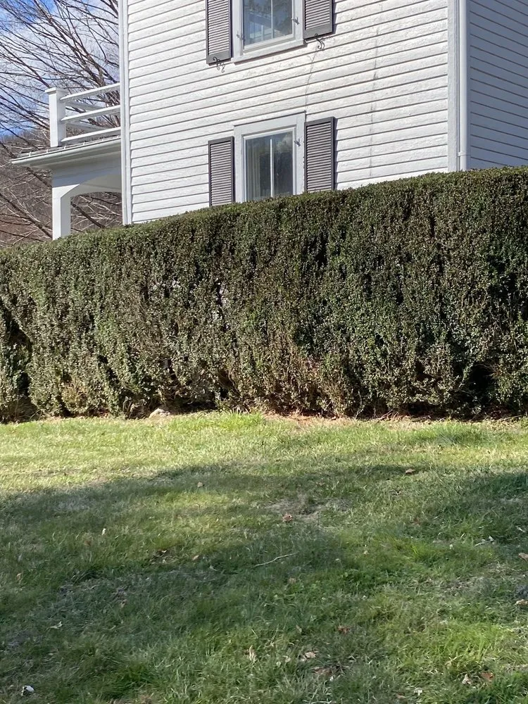 Top-rated outdoor landscaping in North Garden, VA - Valencia’s Lawncare