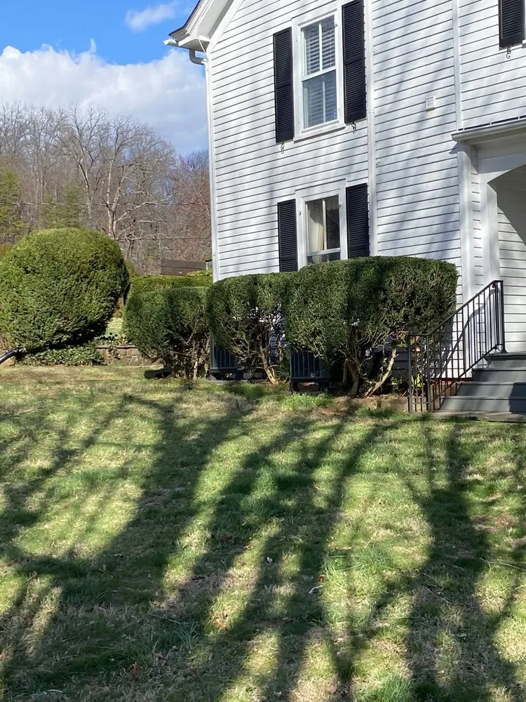 Trusted residential landscaping with custom design in North Garden, VA by Valencia’s Lawncare