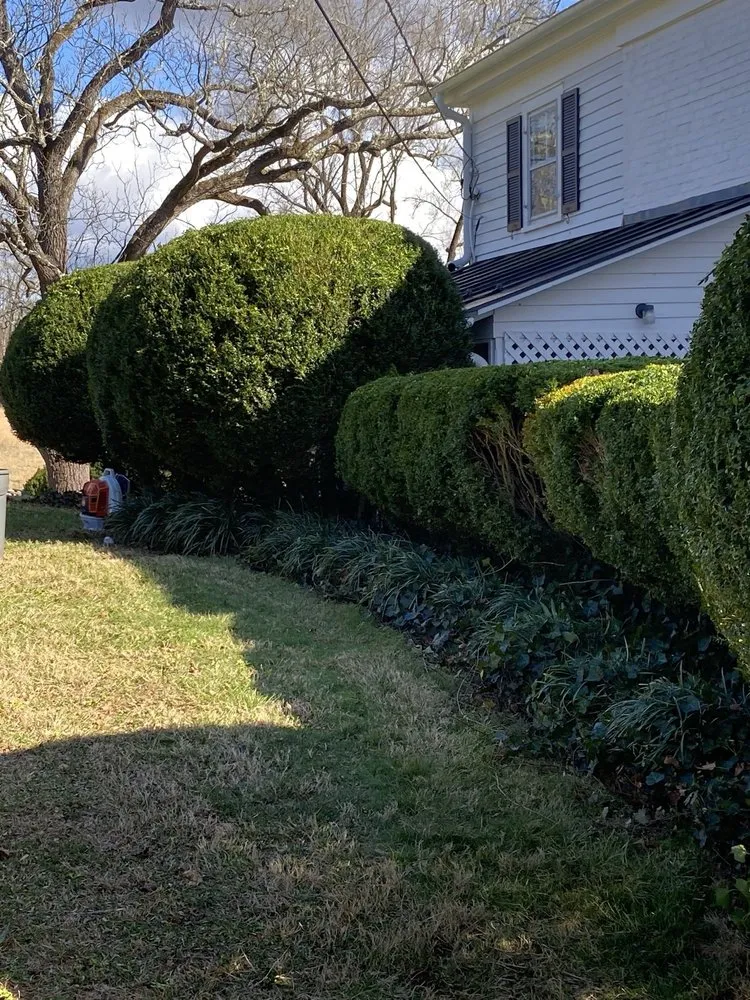 Top-rated landscaping services in North Garden, VA by Valencia’s Lawncare