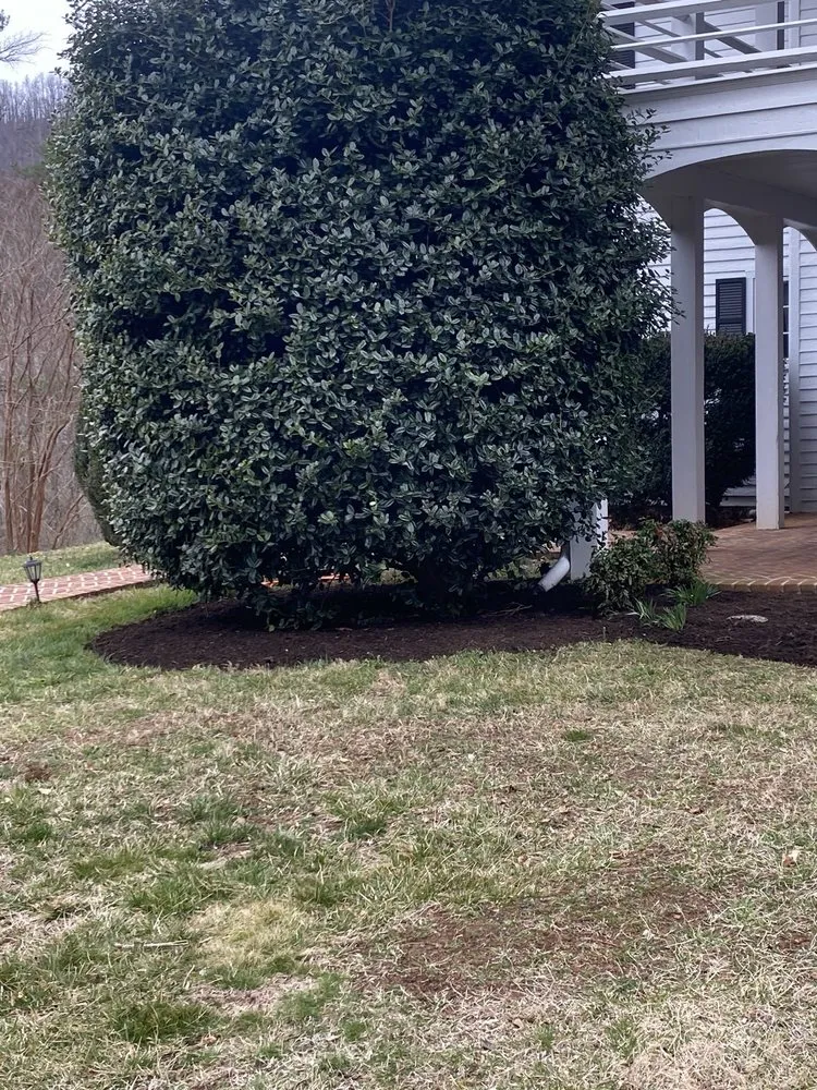 Professional outdoor landscaping in North Garden, VA by Valencia’s Lawncare