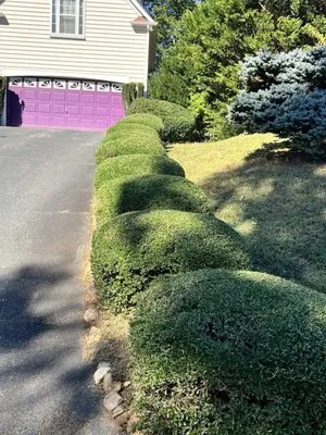 Valencia’s Lawncare Logo