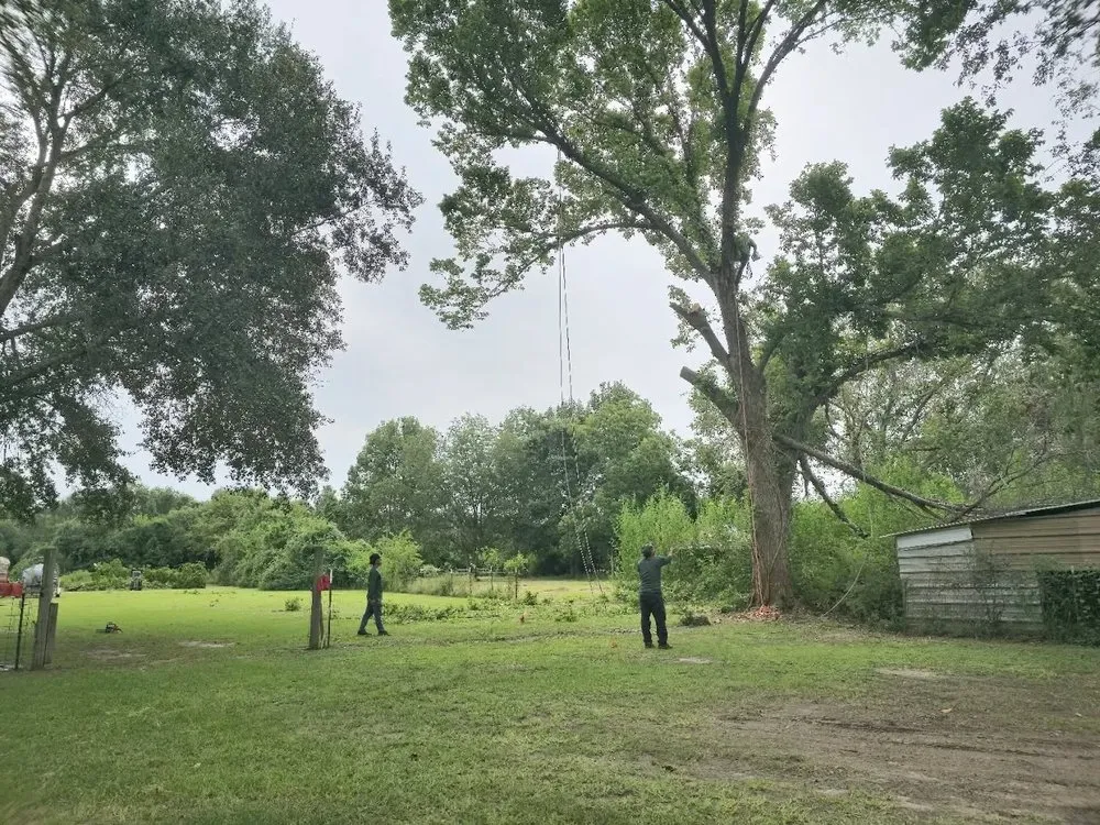 Custom outdoor landscaping experts serving Houston, TX - Valentin Greener