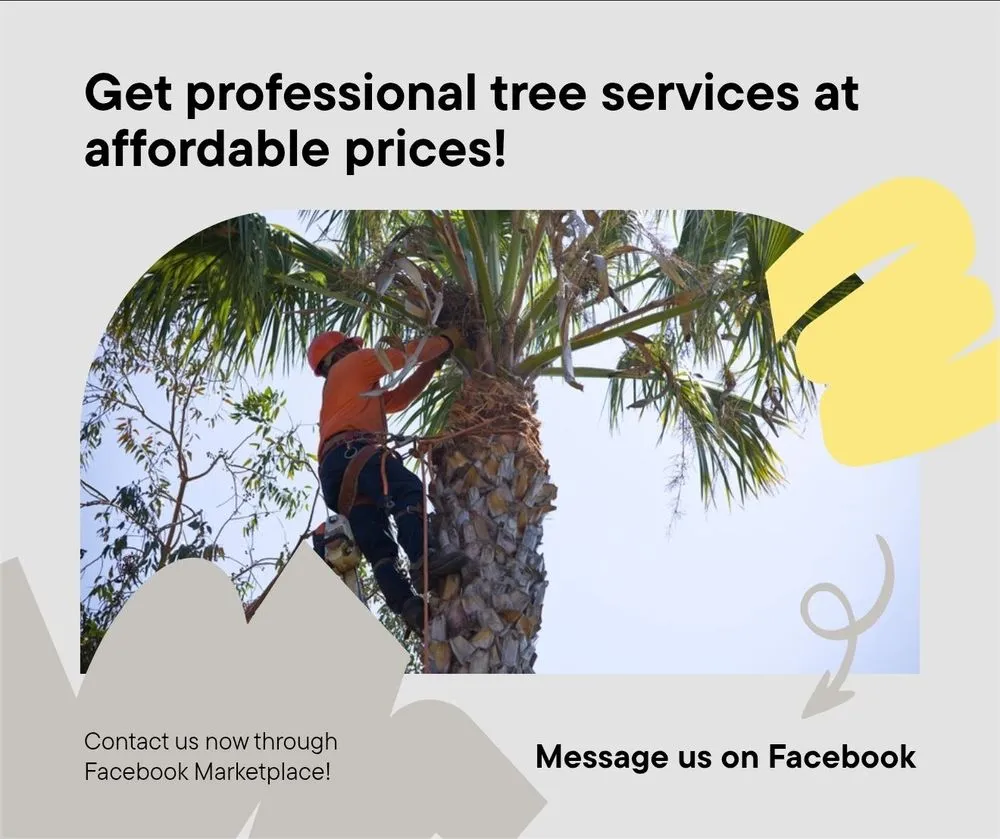 Local outdoor landscaping in Houston, TX - Valentin Greener