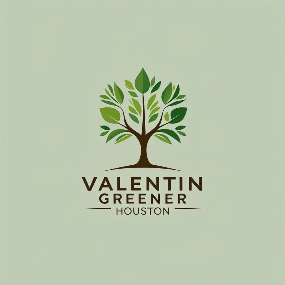 Affordable lawn mowing service in Houston, TX - Valentin Greener