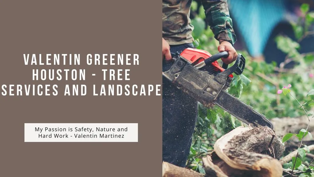 Custom lawn mowing service in Houston, TX - Valentin Greener