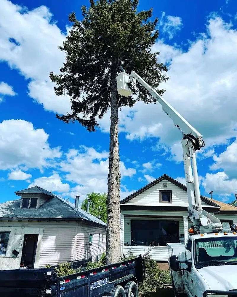Local lawn care service with custom design across Houston, TX - Valentin Greener