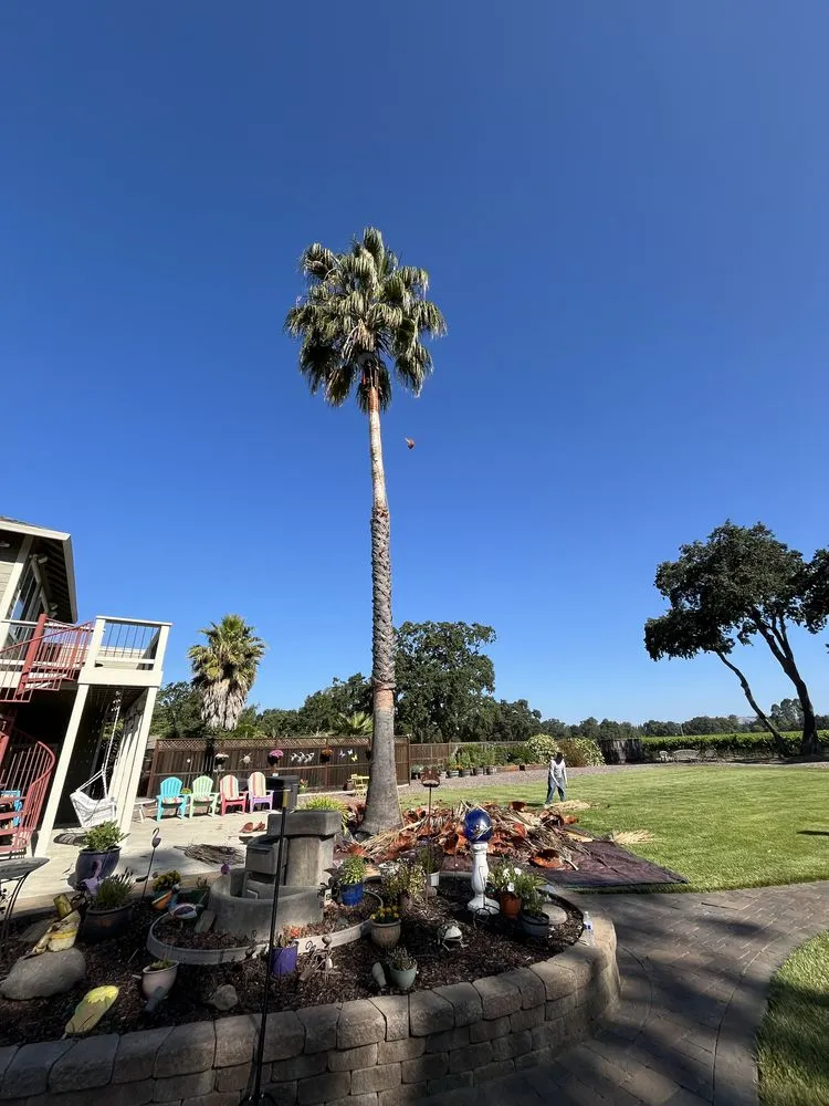 Affordable residential landscaping experts serving Santa Rosa, CA - Valentin Landscaping