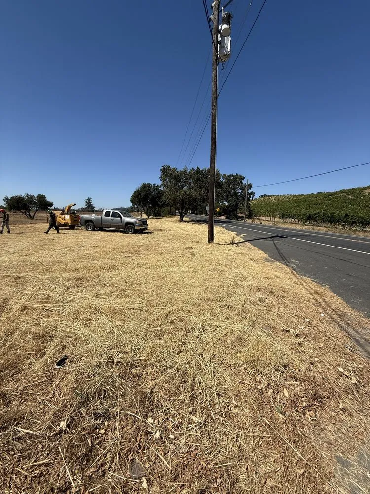 Affordable lawn care service in Santa Rosa, CA by Valentin Landscaping