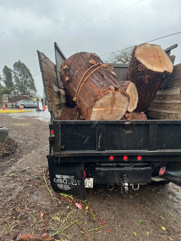 Reliable landscape design in Santa Rosa, CA - Valentin Landscaping