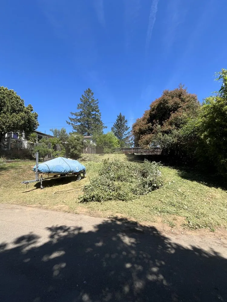 Trusted yard maintenance in Santa Rosa, CA by Valentin Landscaping