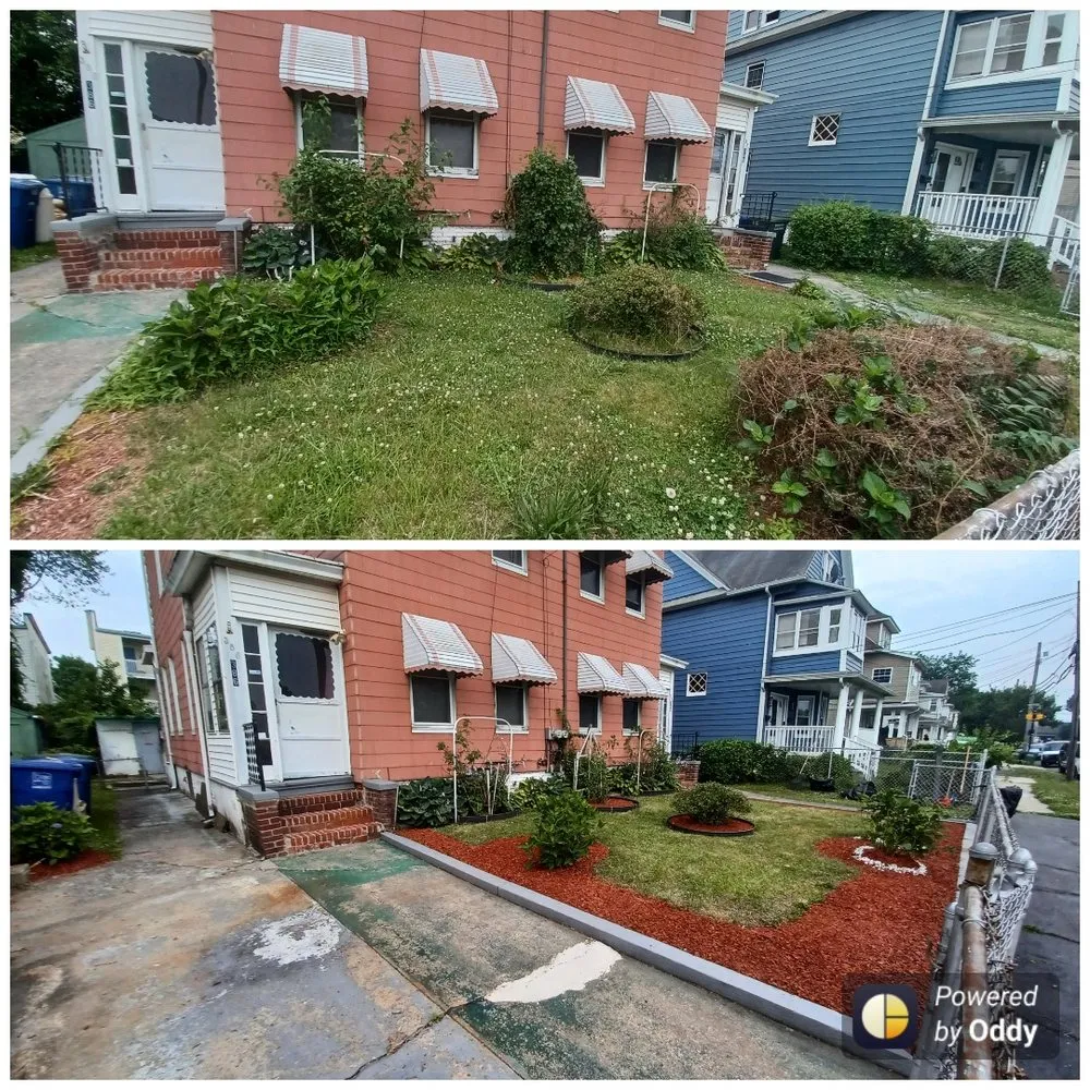 Reliable lawn care service in Bridgeport, CT by Valentin Maintenance