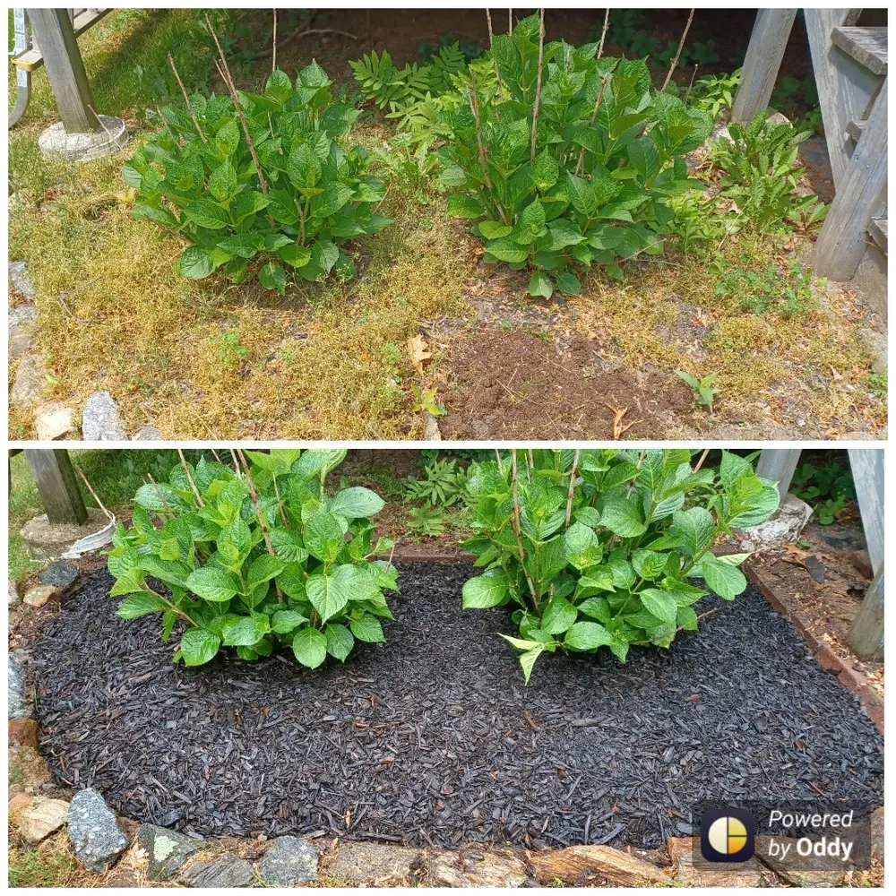 Affordable landscape installation in Bridgeport, CT - Valentin Maintenance