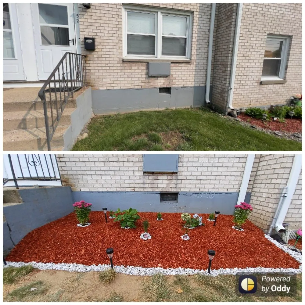 Reliable lawn care service near you in Bridgeport, CT by Valentin Maintenance