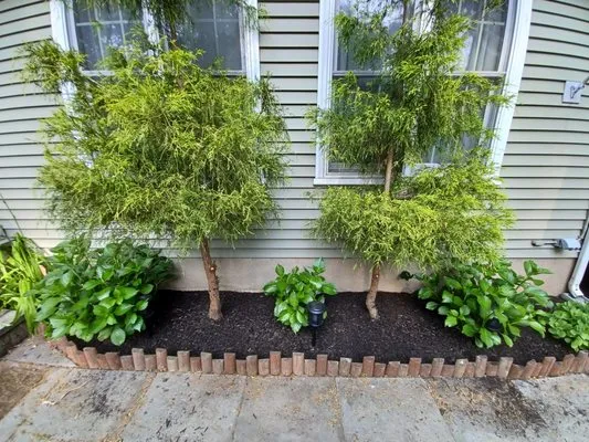 Valentin Maintenance Logo