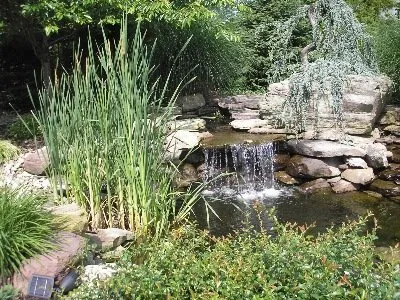 Local lawn care service experts serving Sterling, VA - Valentine Designs