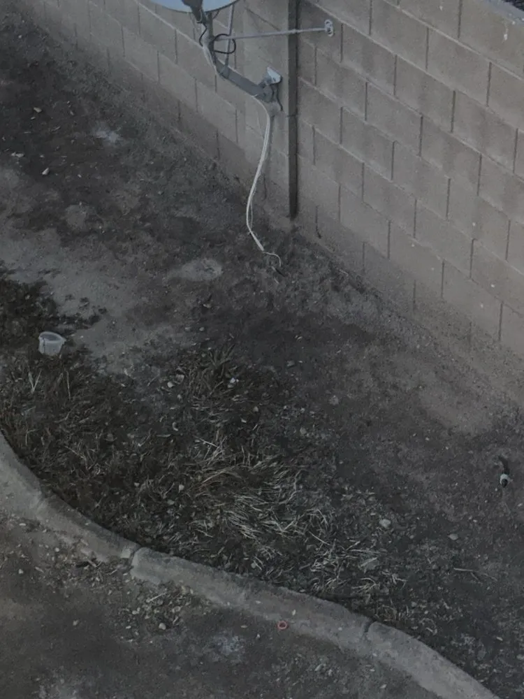 Local garden landscaping experts serving Avondale, AZ - Valentine Landscaping