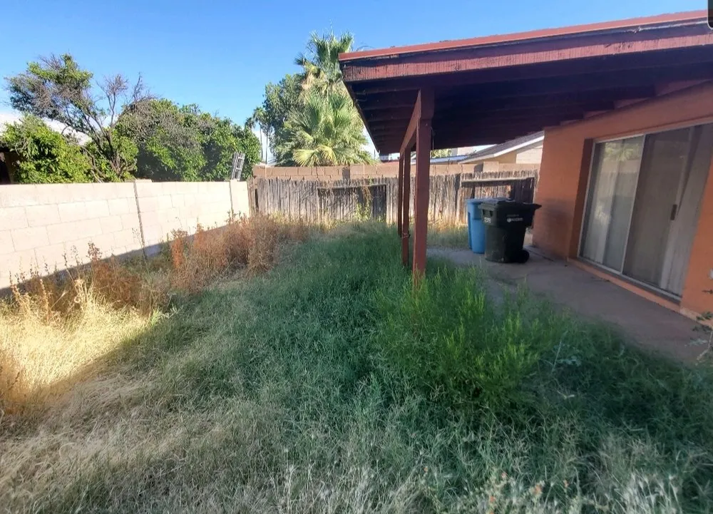 Professional lawn care service for residential properties across Avondale, AZ - Valentine Landscaping