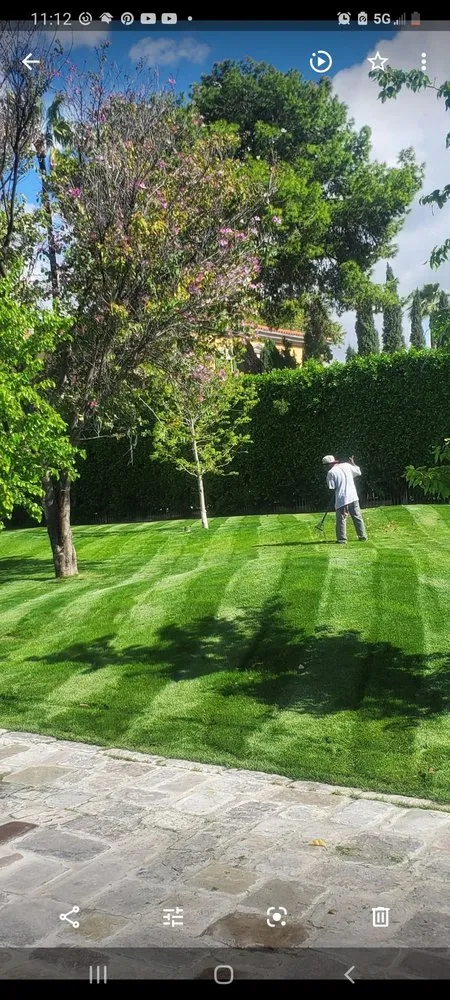 Affordable outdoor landscaping in Avondale, AZ by Valentine Landscaping