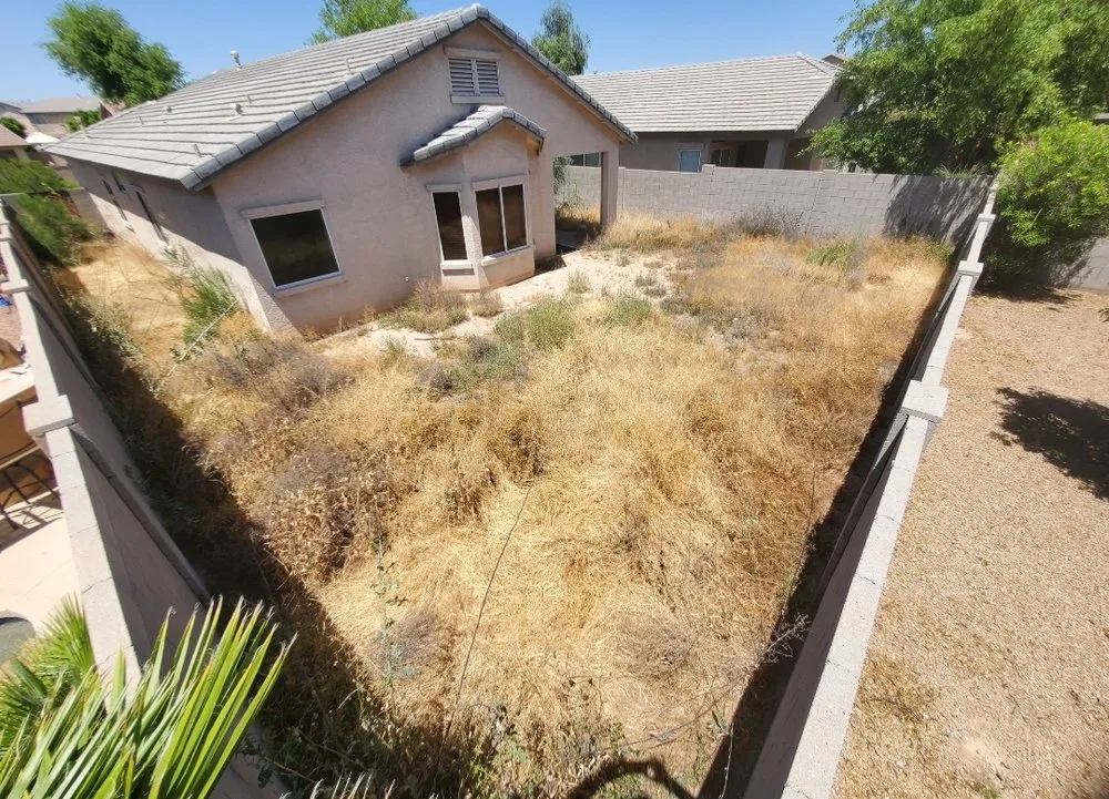 Affordable lawn care service in Avondale, AZ by Valentine Landscaping