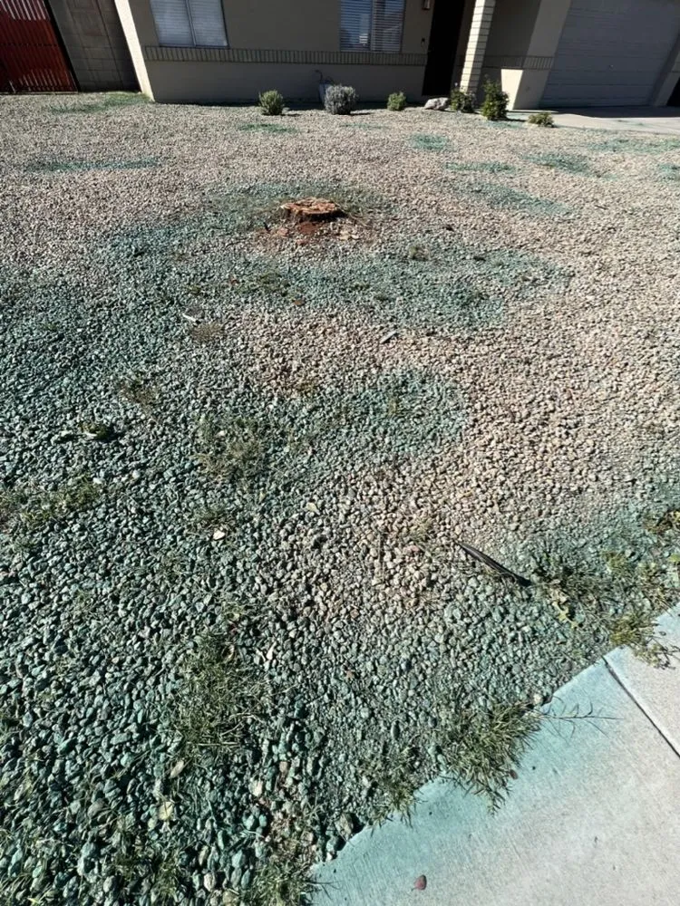 Top-rated landscape installation with custom design in Avondale, AZ by Valentine Landscaping