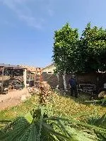 Custom landscaping services for homes in Avondale, AZ by Valentine Landscaping