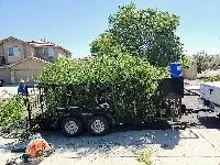 Reliable landscape design in Avondale, AZ - Valentine Landscaping