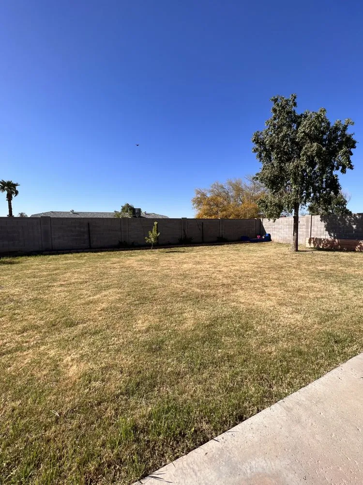 Trusted outdoor landscaping in Avondale, AZ by Valentine Landscaping