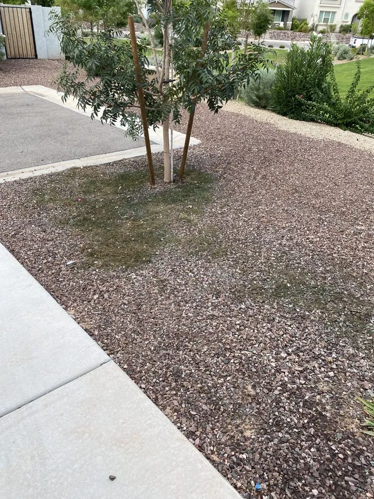 Affordable yard cleanup service with custom design in Avondale, AZ by Valentine Landscaping