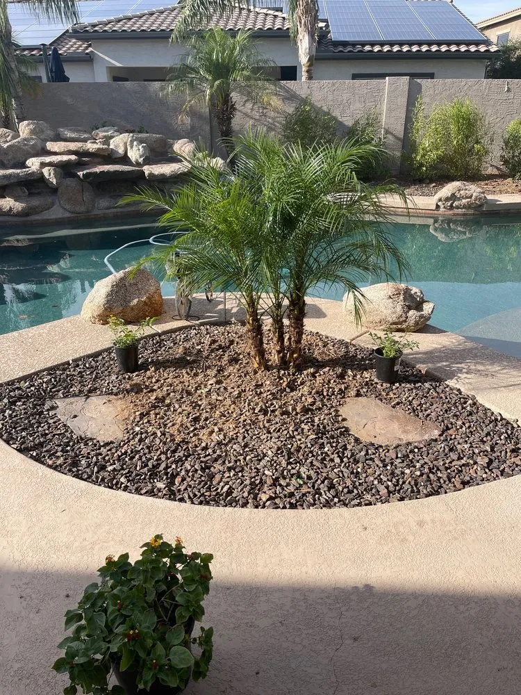 Professional yard maintenance in Avondale, AZ - Valentine Landscaping