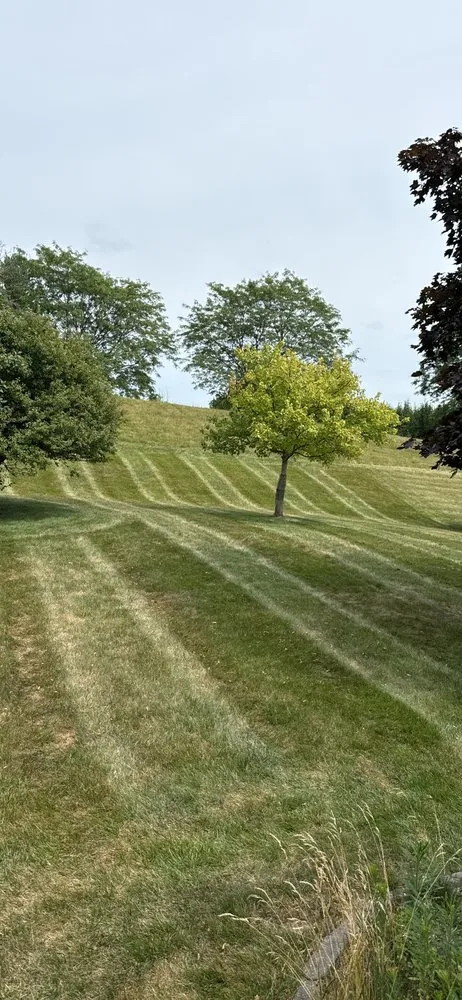 Affordable lawn mowing service in Dublin, OH by Valentines Landscapes