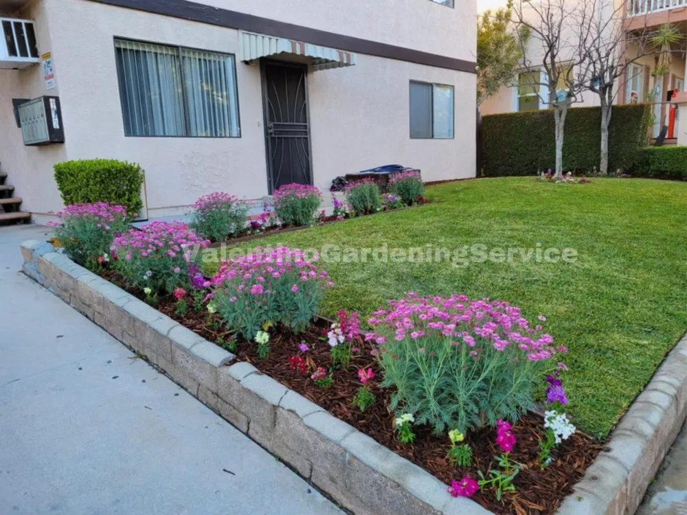 Reliable yard cleanup service for homes in Monrovia, CA by Valentino Gardening Service
