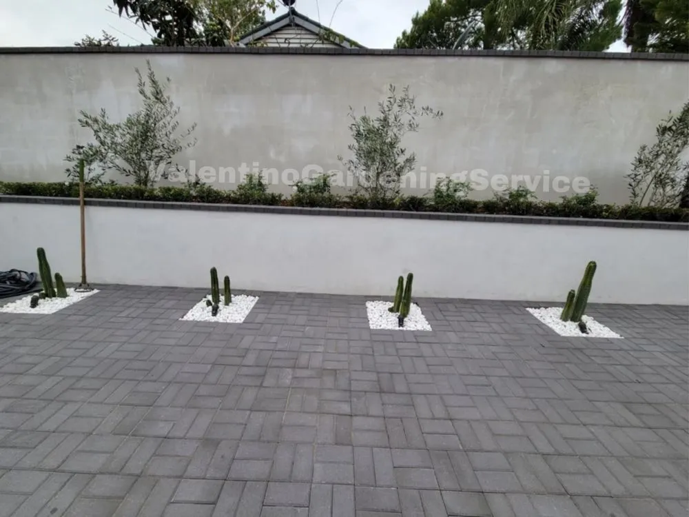 Professional lawn care service near you across Monrovia, CA - Valentino Gardening Service