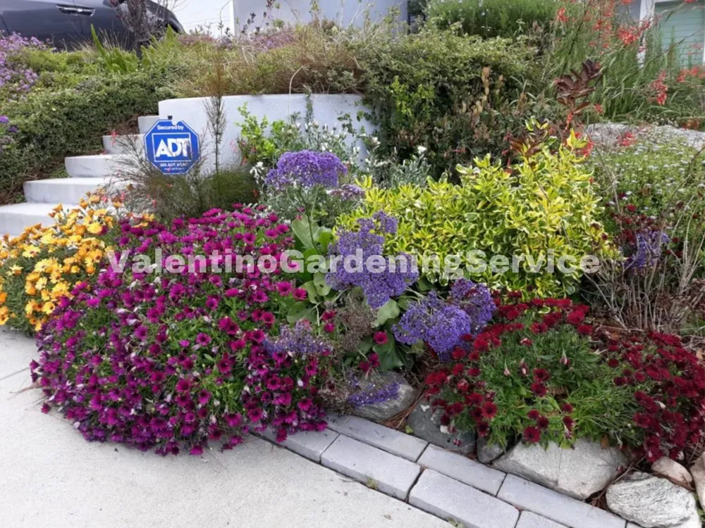 Top-rated garden landscaping for beautiful yards across Monrovia, CA - Valentino Gardening Service