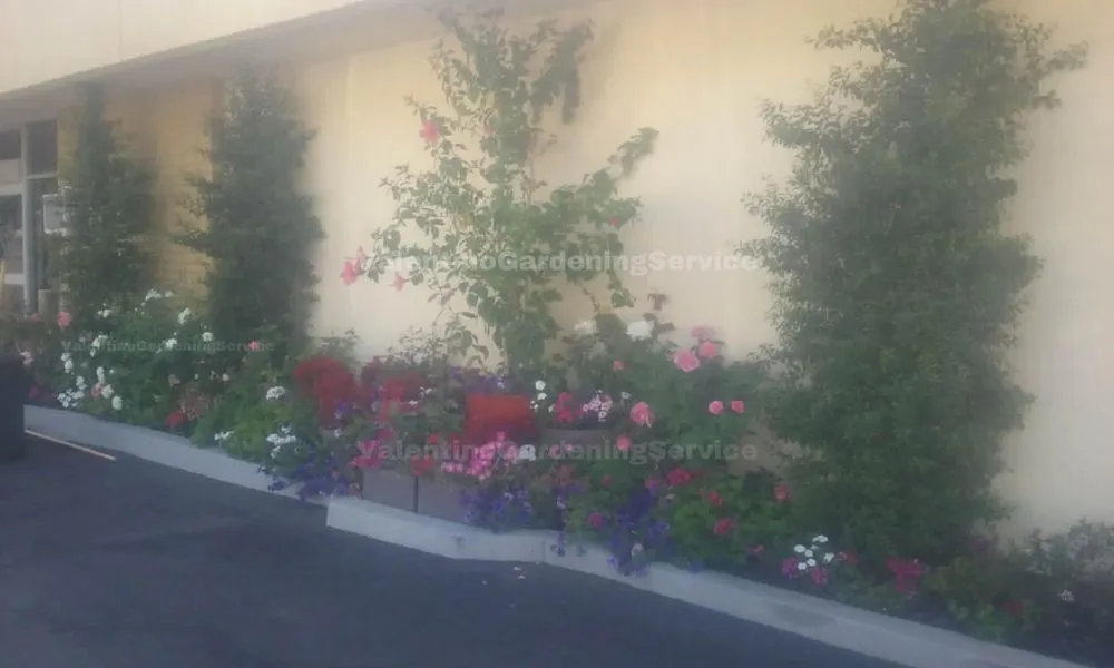 Local yard cleanup service with custom design in Monrovia, CA by Valentino Gardening Service