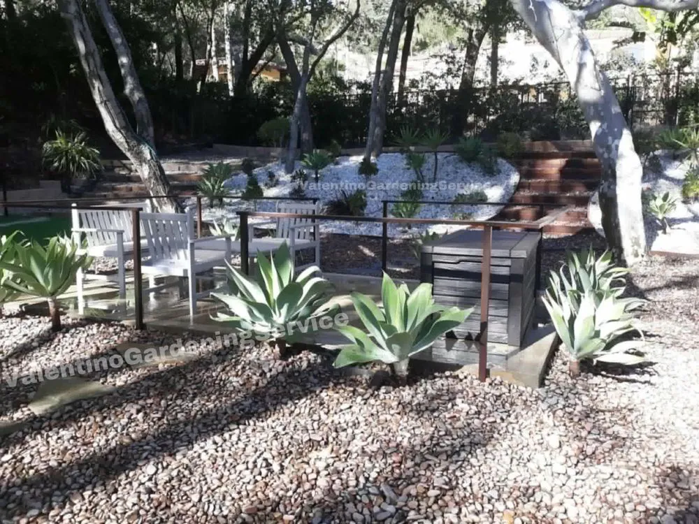 Professional residential landscaping in Monrovia, CA by Valentino Gardening Service