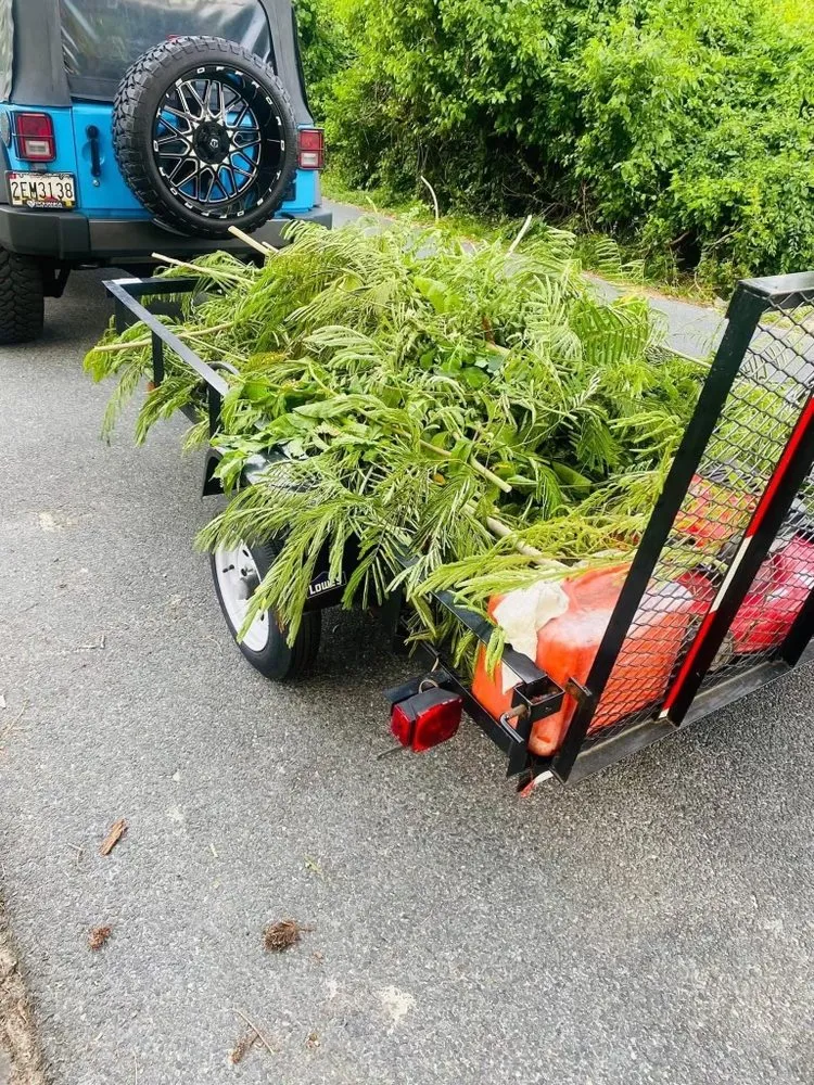 Reliable garden landscaping experts serving Salisbury, MD - Valentino lawn Care Service