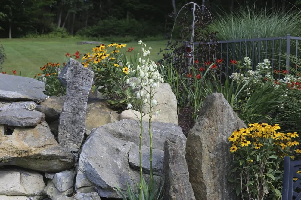 Reliable lawn care service for beautiful yards in Warwick, NY by Valentino Lawncare