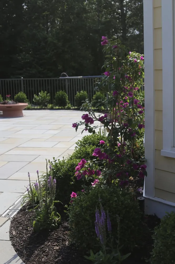 Affordable yard cleanup service near you across Warwick, NY - Valentino Lawncare