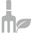 Valentino Lawncare Logo