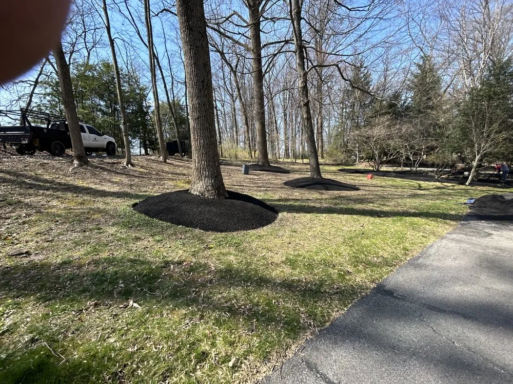 Trusted yard cleanup service for homes in Avondale, PA by Valentin’s Property Maintenance