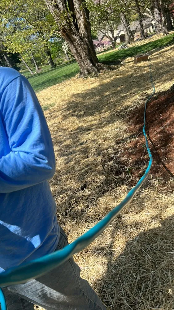 Top-rated yard cleanup service in Avondale, PA by Valentin’s Property Maintenance